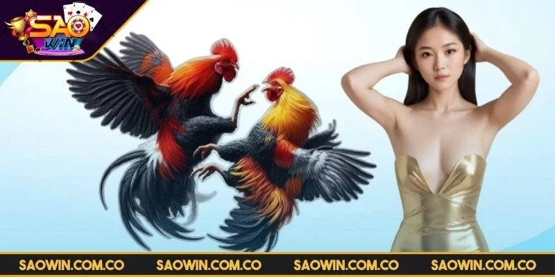 da-ga-saowin-uu-diem