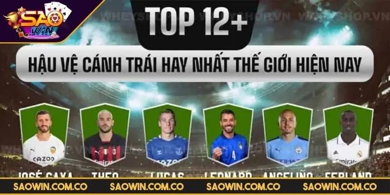 hau-ve-canh-trai-hay-nhat-the-gioi-khai-quat